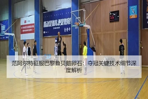 范阿尔特征服巴黎鲁贝鹅卵石：夺冠关键技术细节深度解析