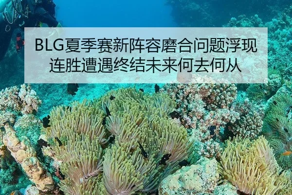 BLG夏季赛新阵容磨合问题浮现 连胜遭遇终结未来何去何从（MKSPORT）